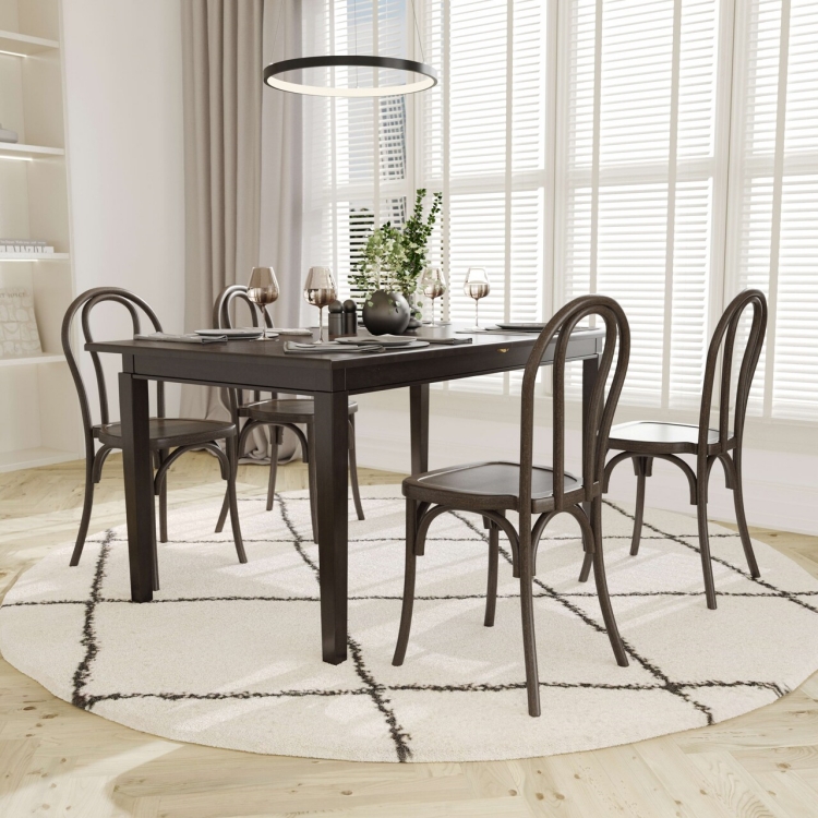 black rsin dining chair supplier