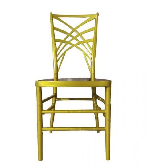 Resin Chameleon Chairs