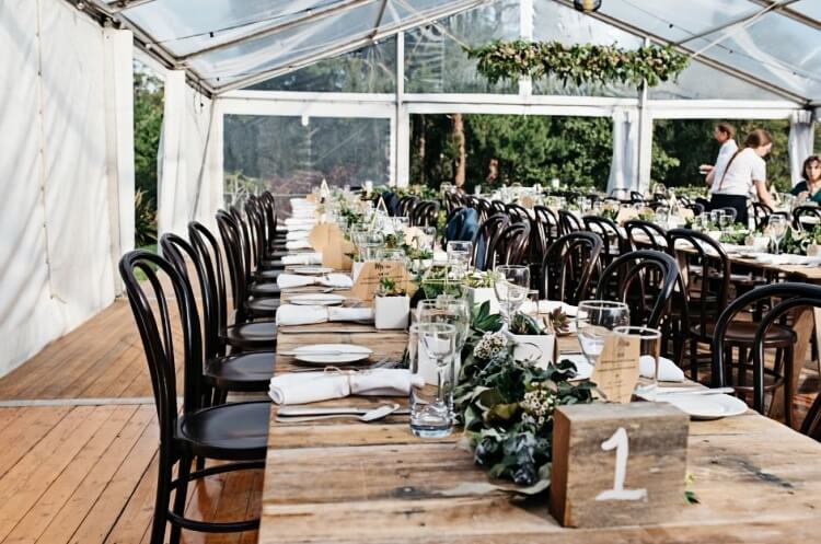 resin thonet chair wholesale