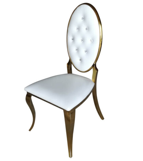 Stainless Steel Chair